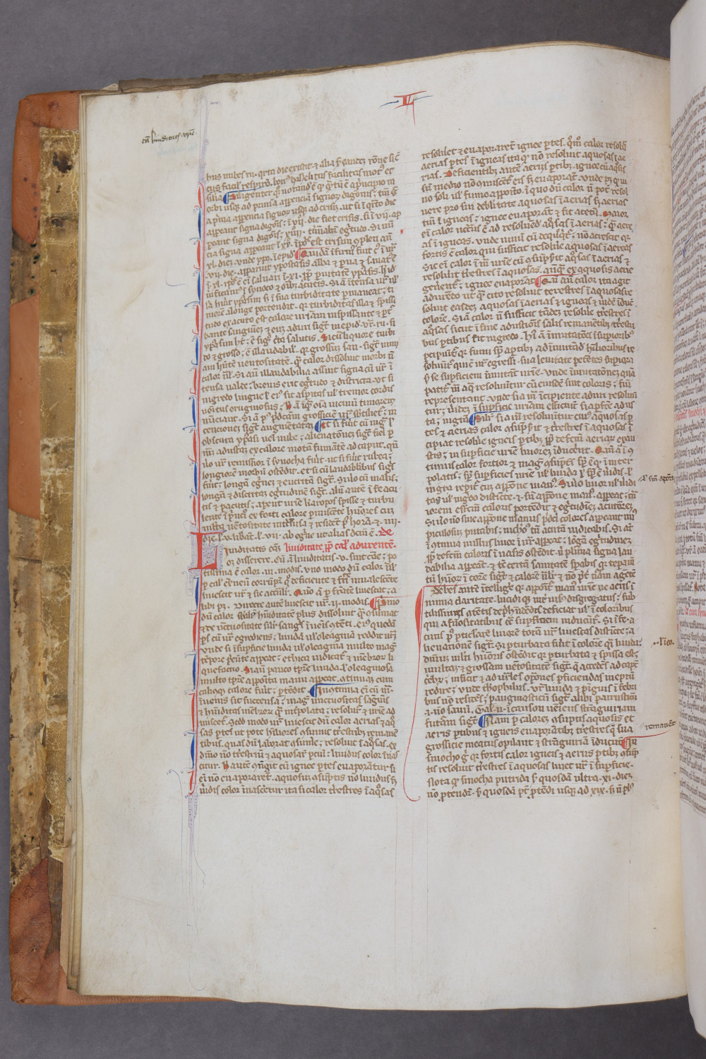 Folio 11 verso